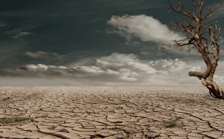 Người Chết Có Phật Tánh Không ???