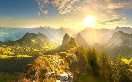 Làm Thế Nào Để Dứt Kiết Sử !!!