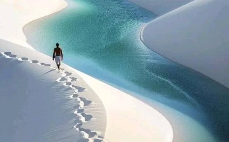 Làm Thế Nào Để Bất Thối Chuyển ???