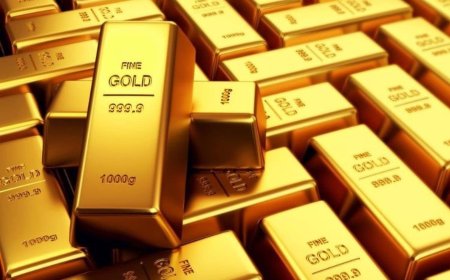Các Thứ Trí Trong Phật Đạo !!!
