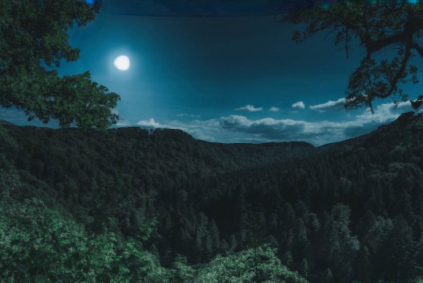 Sau Khi Nhập Niết Bàn - Đức Phật Đi Về Đâu ???