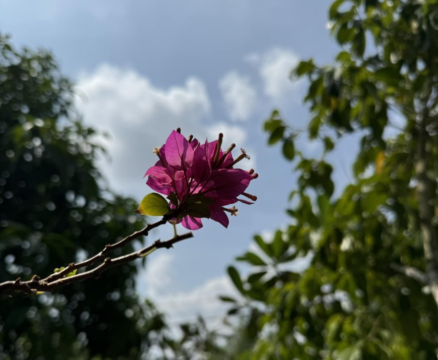 Linh Hồn Có Hay Không ???