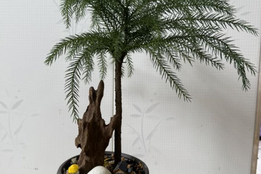 Làm Thế Nào Để Thanh Tịnh Bất Động Trở Thành Thường !!!