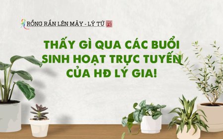 Thấy Gì Qua Các Buổi Sinh Hoạt Trực Tuyến Của HĐ Lý Gia!