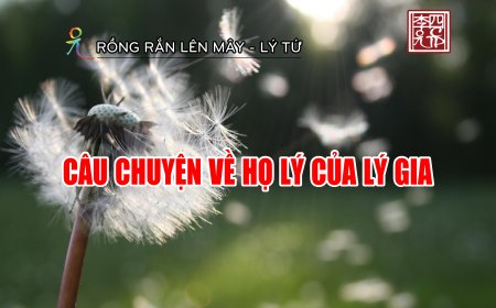 Câu Chuyện Về Họ Lý Của Lý Gia