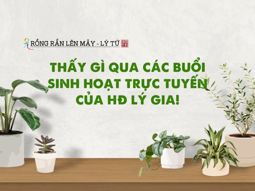 Thấy Gì Qua Các Buổi Sinh Hoạt Trực Tuyến Của HĐ Lý Gia!