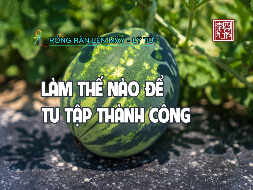 Làm Thế Nào Để Tu Tập Thành Công