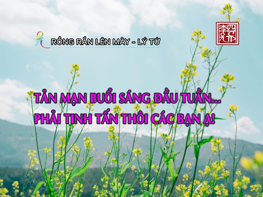 Tản Mạn Buổi Sáng Đầu Tuần... Phải Tinh Tấn Thôi Các Bạn Ạ!