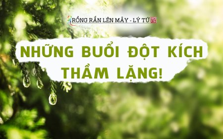Những Buổi Đột Kích Thầm Lặng!