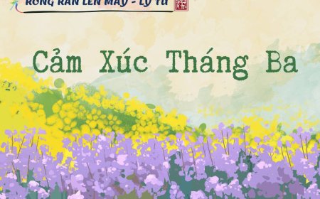 Cảm Xúc Tháng Ba