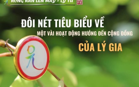 Đôi Nét Tiêu Biểu về Một Vài Hoạt Động Hướng Đến Cộng Đồng của Lý Gia!