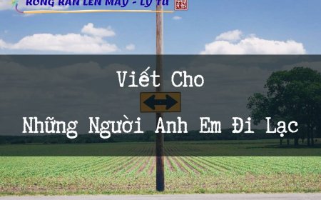 Viết Cho Những Người Anh Em Đi Lạc