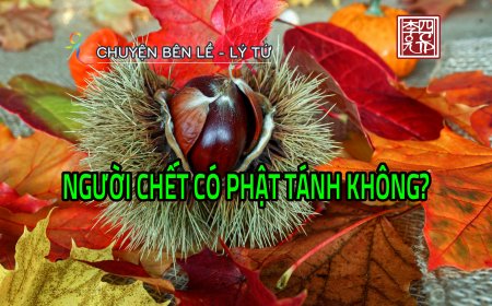 Người Chết Có Phật Tánh Không?