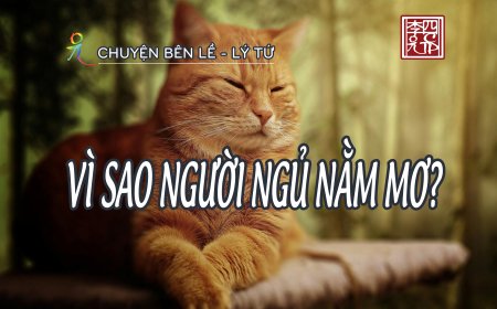 Vì Sao Người Ngủ Nằm Mơ?