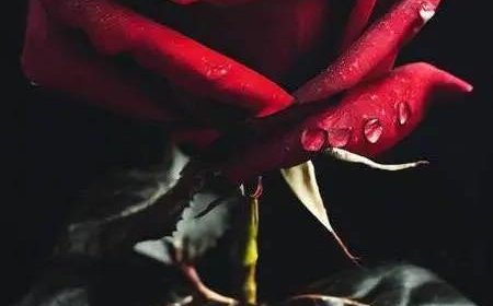 Tin Muộn Trong Ngày !!!