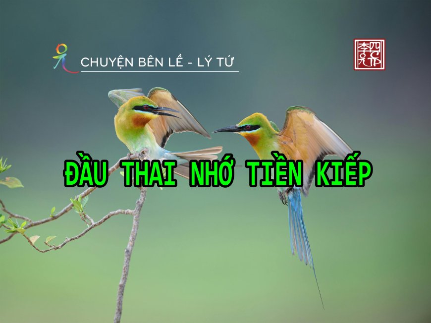 Đầu Thai Nhớ Tiền Kiếp