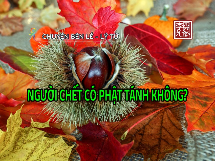Người Chết Có Phật Tánh Không?