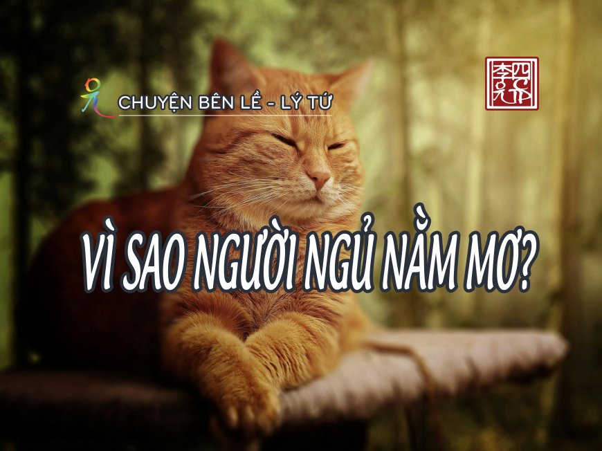 Vì Sao Người Ngủ Nằm Mơ?