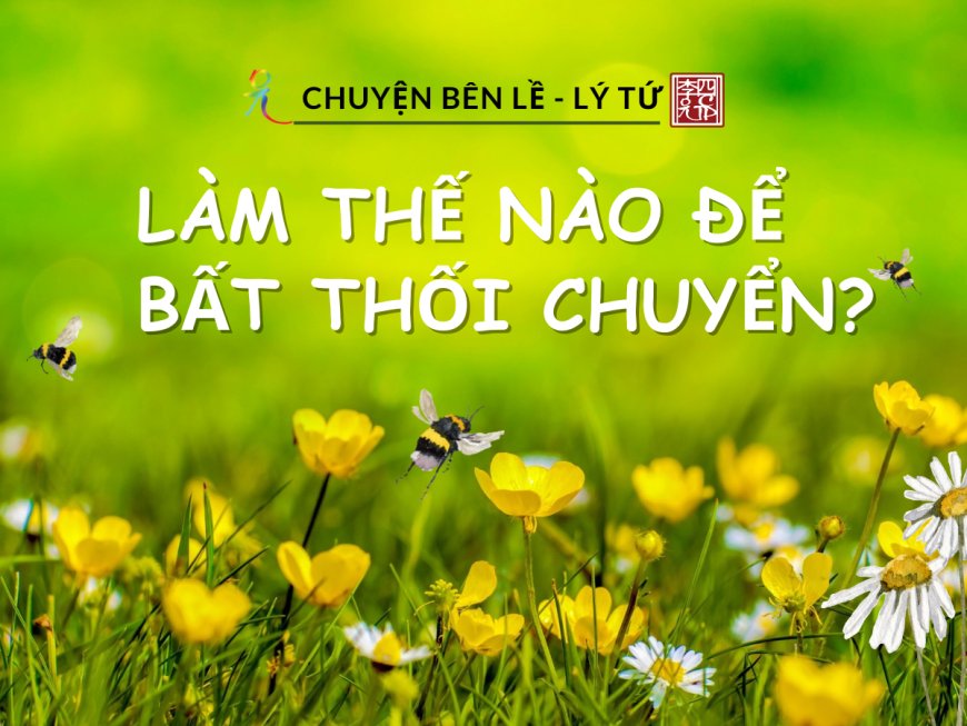 Làm Thế Nào Để Bất Thối Chuyển?