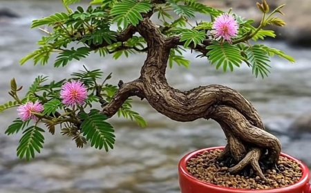 Trả Lời Tiếp Tục Các Câu Hỏi Của Bạn Đọc Trí Đức !!!