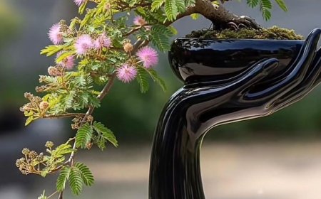 Chưa Giác Ngộ Bổn Tâm - Học Tập Giáo Pháp Có Ích Lợi Gì Không ???