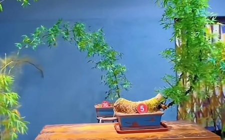 Sóng Ấy Tức Nước !!!