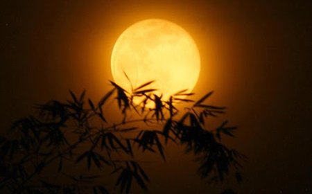 Tâm Tình Khích Lệ !!!