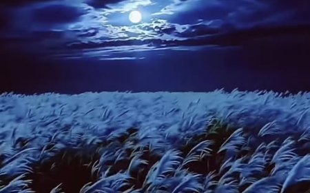 Có Phải A La Hán Mất Nhận Thức !!!