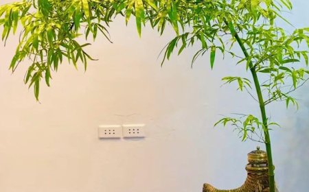 Lại Nói Về Nhân Quả !!!