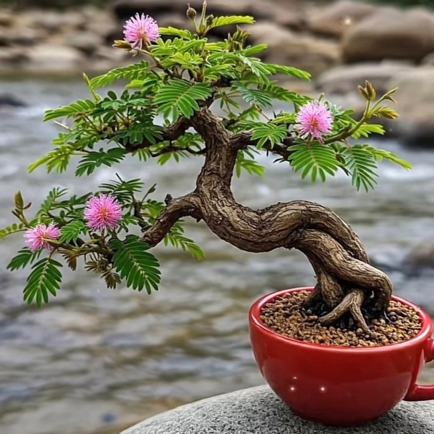 Trả Lời Tiếp Tục Các Câu Hỏi Của Bạn Đọc Trí Đức !!!