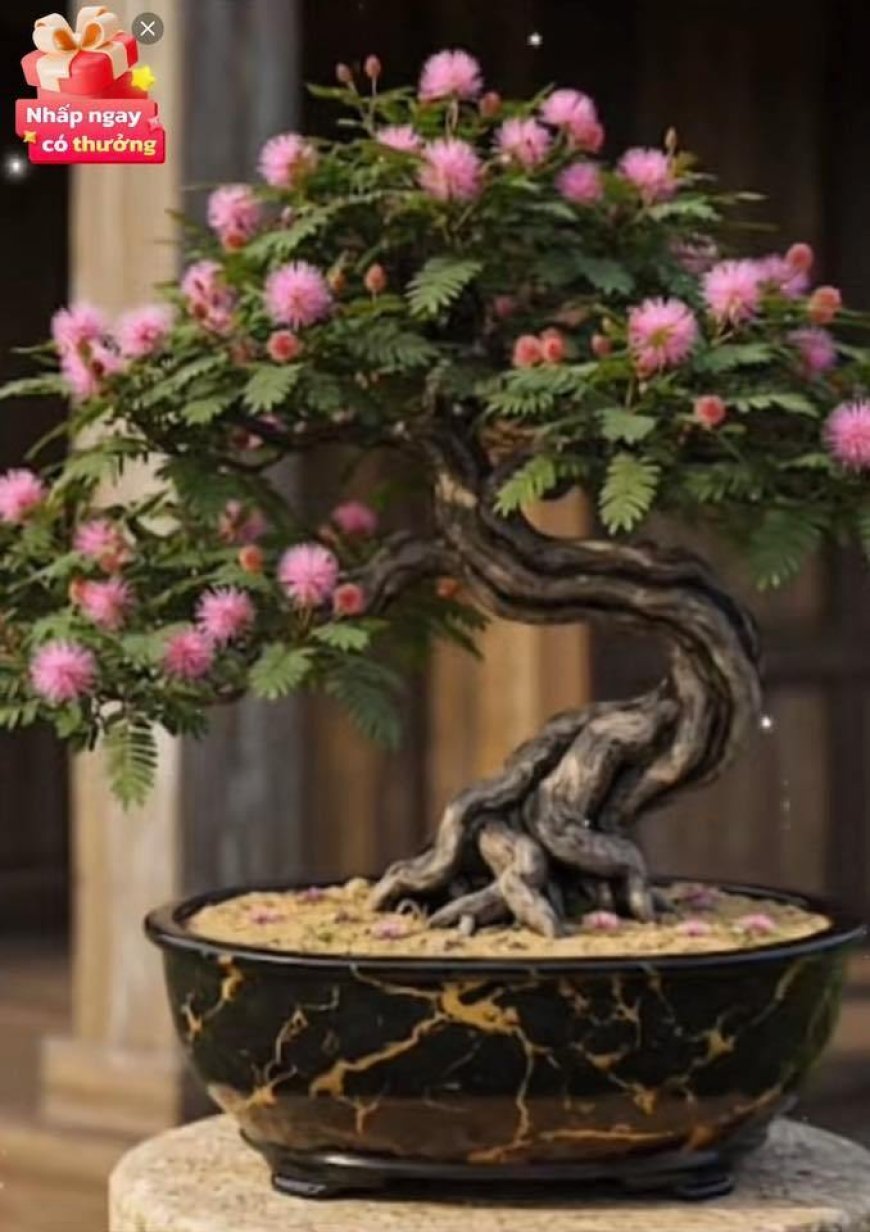 Mùa Vu Lan Báo Hiếu !!!