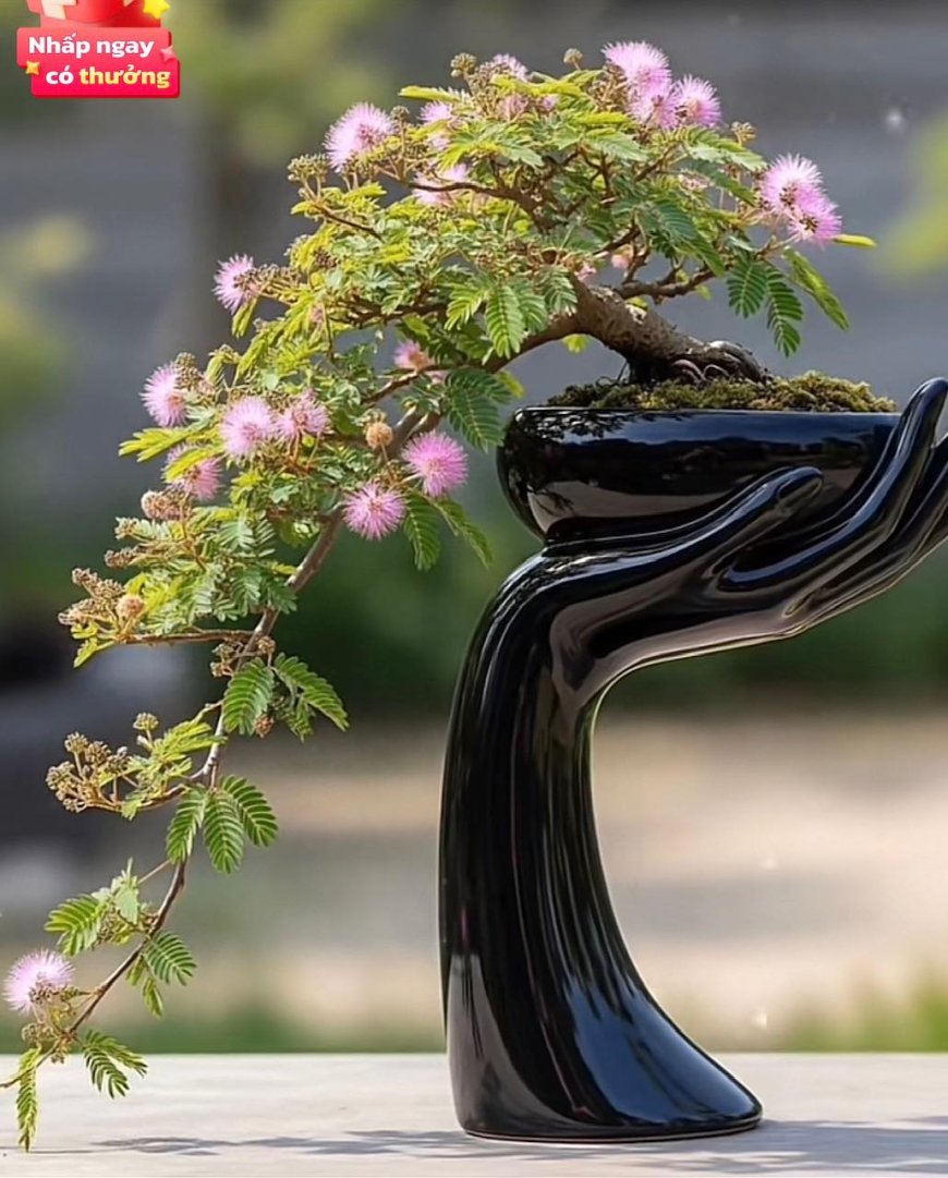 Chưa Giác Ngộ Bổn Tâm - Học Tập Giáo Pháp Có Ích Lợi Gì Không ???