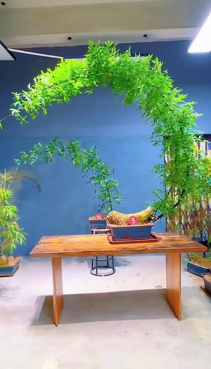 Sóng Ấy Tức Nước !!!