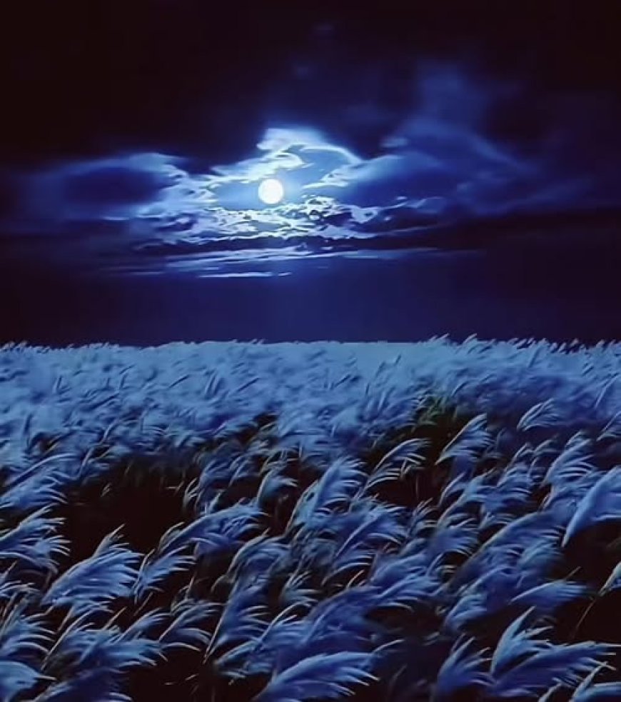 Có Phải A La Hán Mất Nhận Thức !!!