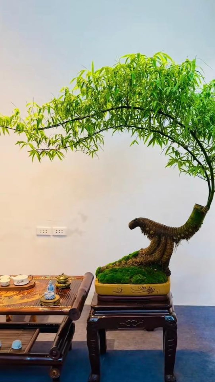 Phản Hồi Của Bằng Hữu Trí Thiện - Qua Chín Câu Trả Lời Từ Chuyên Mục 35/2025 (B)