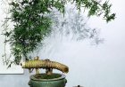 Hiện Tại Không Dừng !!!