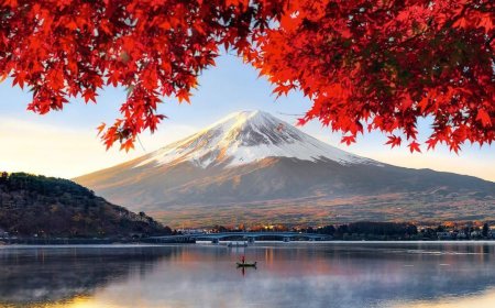 Thảo Luận Về Diệu Pháp Liên Hoa !!!