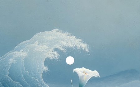 Vọng Tưởng Khi Ngồi Thiền !!!