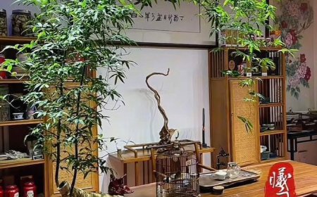 Con Tàu Giải Thoát !!!