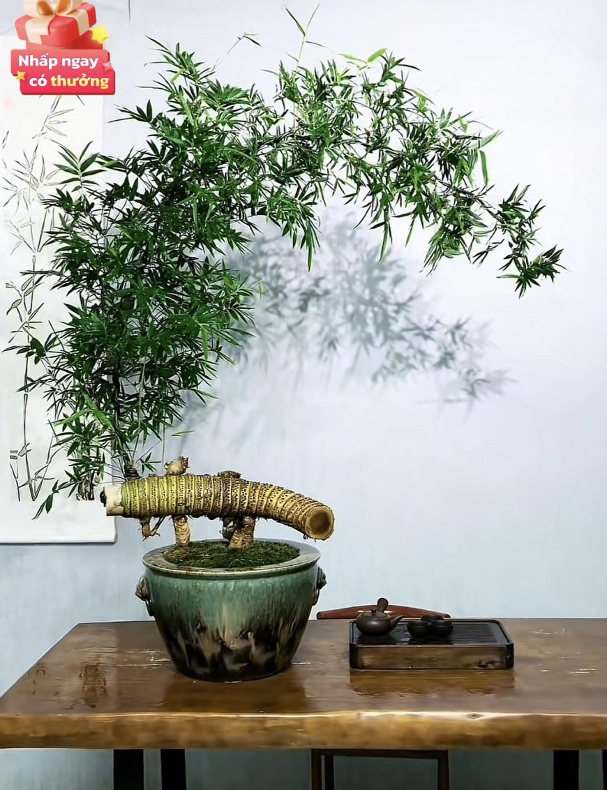 Hiện Tại Không Dừng !!!