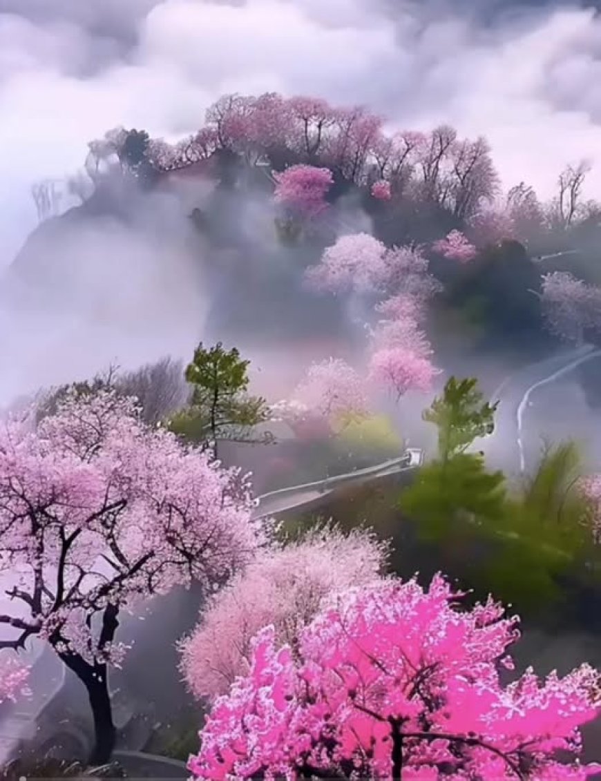 Ngã Hành Phản Biện Huynh Đệ Lý Gia !!!