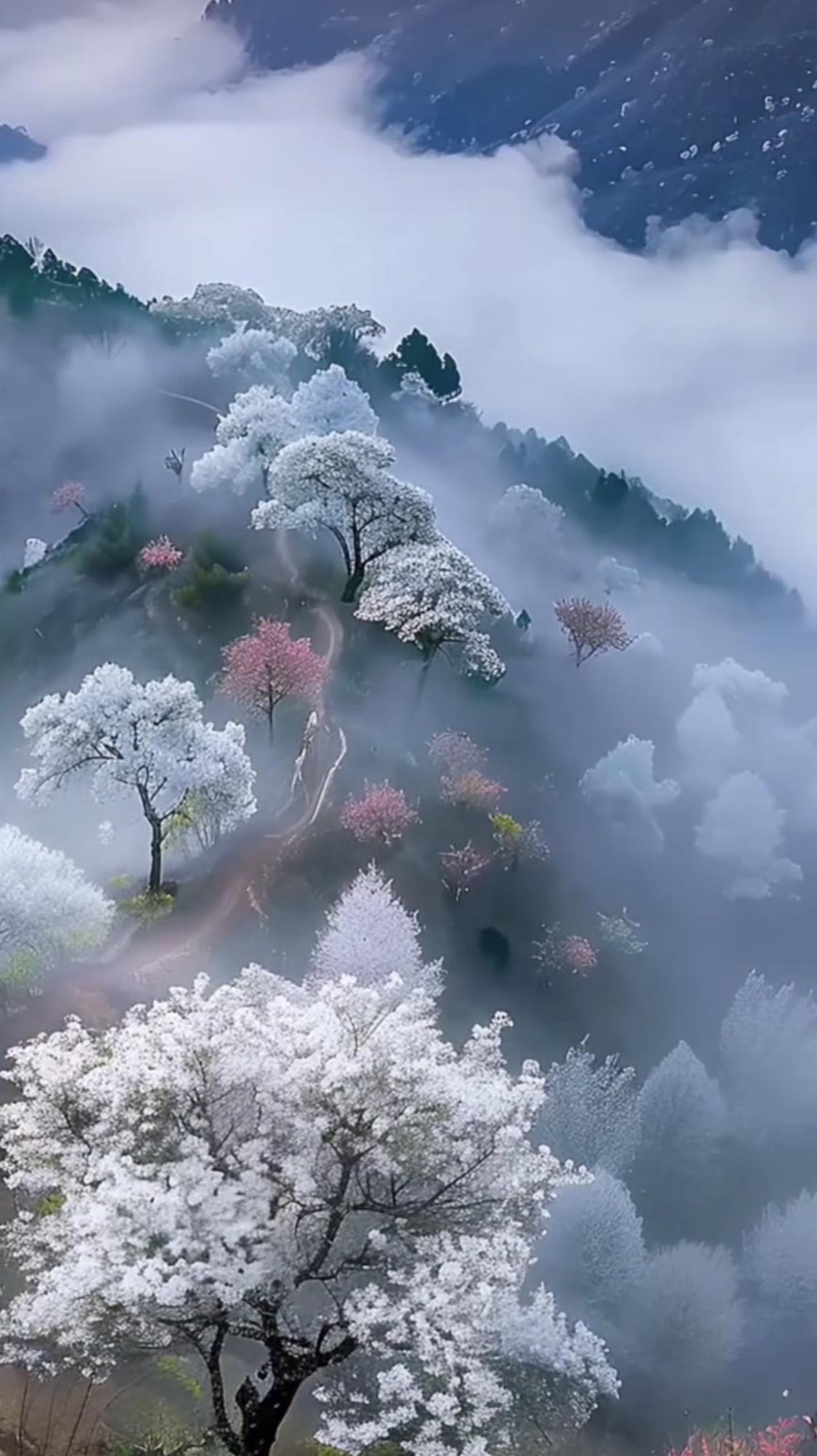 HĐ Lý Gia Trả Lời Phản Biện Bạn Đọc Ngã Hành (2) !!!