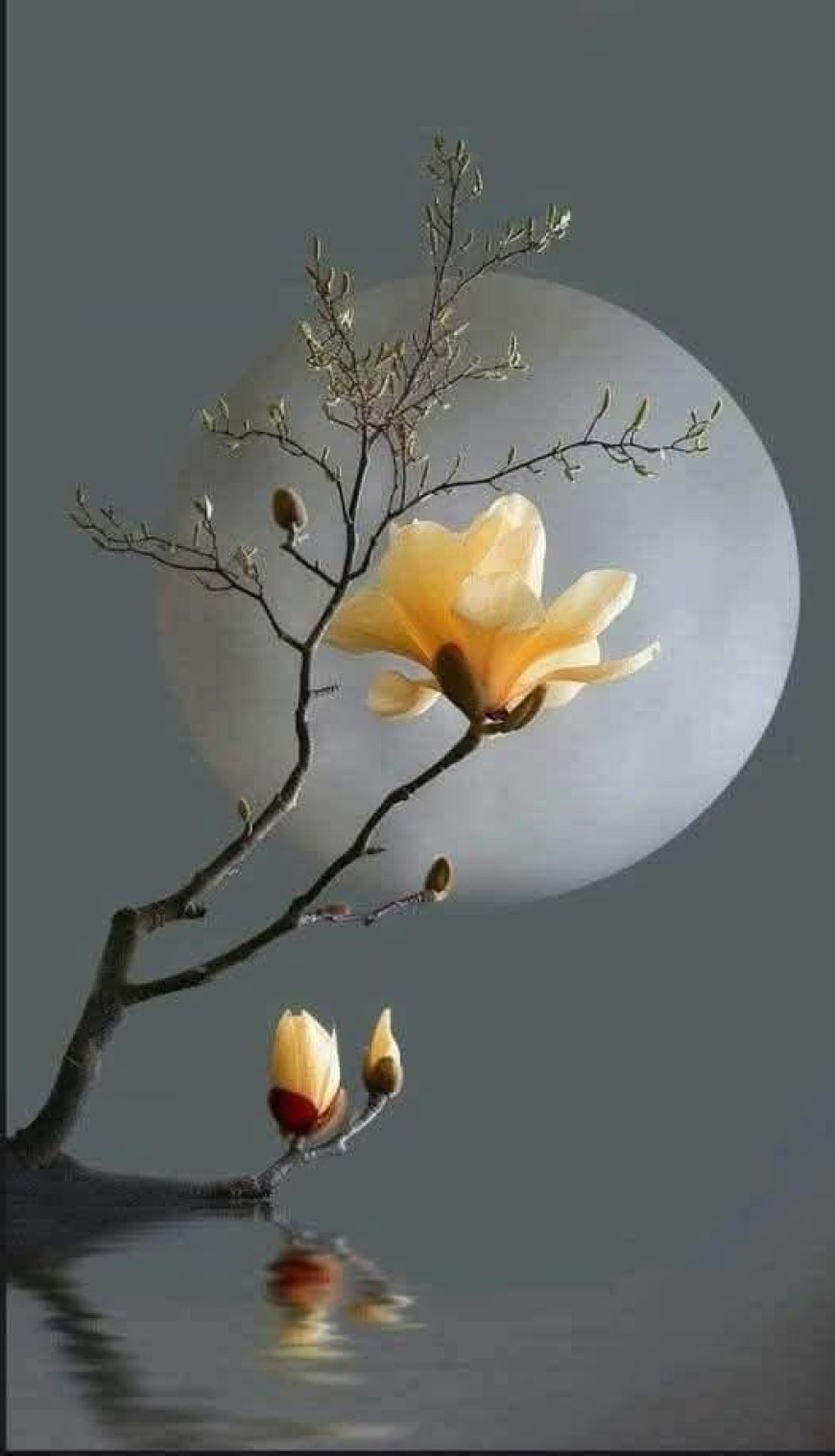 Thư Của Bằng Hữu Ngã Hành Và Thắc Mắc Của Bạn Đọc Có Tên Đoàn Ở Quảng Ngãi !!!