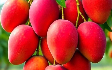 Thờ Cúng Thế Nào Để Đúng Chánh Kiến !!!