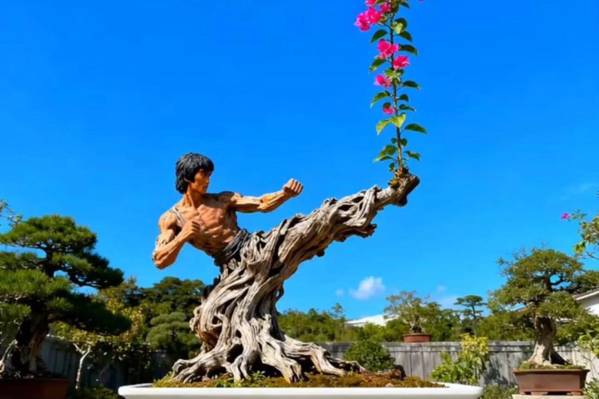 Phải Khen Thôi Các Bạn Ạ !!!