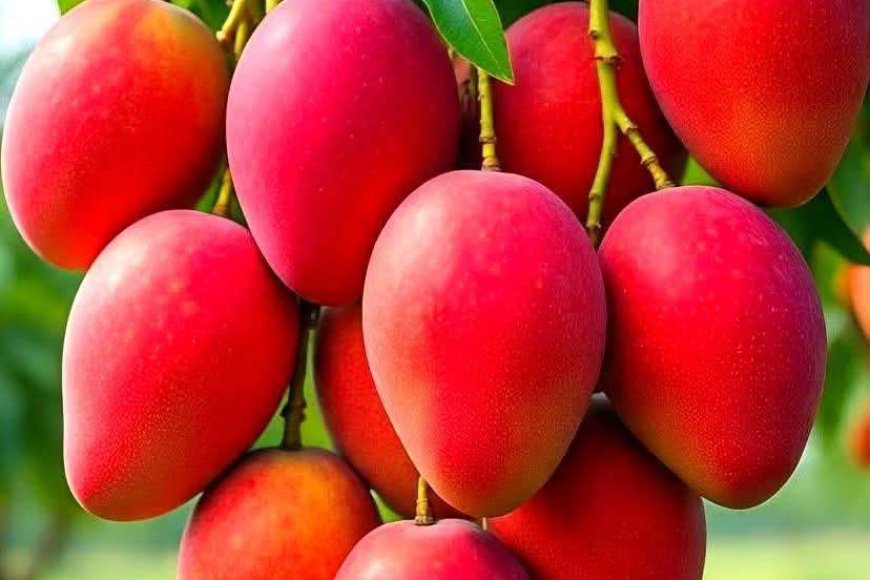 Thờ Cúng Thế Nào Để Đúng Chánh Kiến !!!