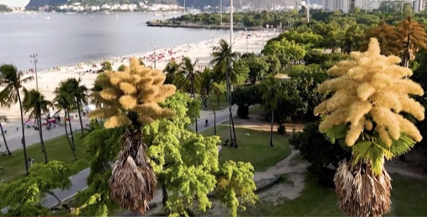 Một Số Thắc Mắc Về Kinh Duy Ma Cật !!!