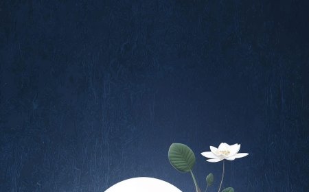 Có Pháp Môn Nhỏ Nào Giúp Nuôi Dưỡng Chánh Niệm và Trí Tuệ !!!