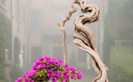 Làm Thế Nào Để Có Được Niềm Vui Xuất Thế !!!