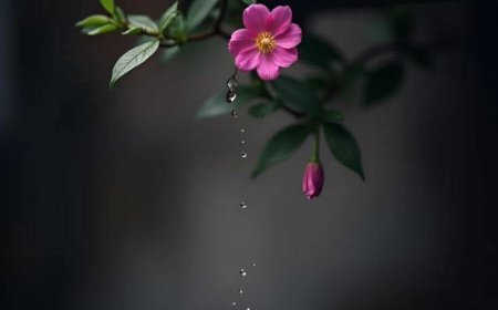 Hãy Liên Lạc Điện Thoại !!!